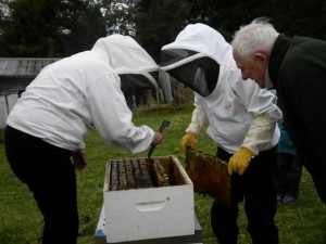 Owhango Beekeepers Club